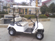 2 Seat Electric Golf Carts 48 Voltage Trojan Battery Aluminum Chassis DC Motor